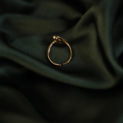 Black Inlay Pure Metal Ring side view